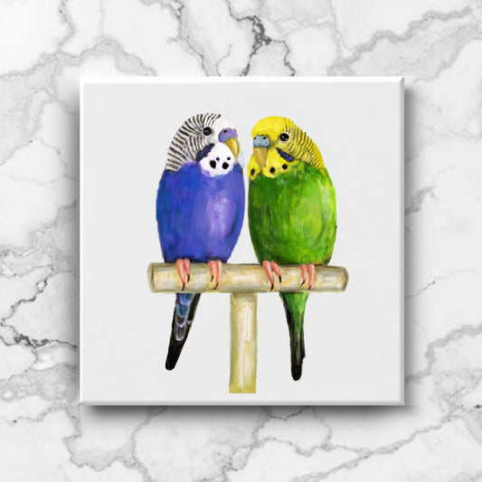 Vibrant Budgies Perched Together Ceramic Tile - MerikaArt