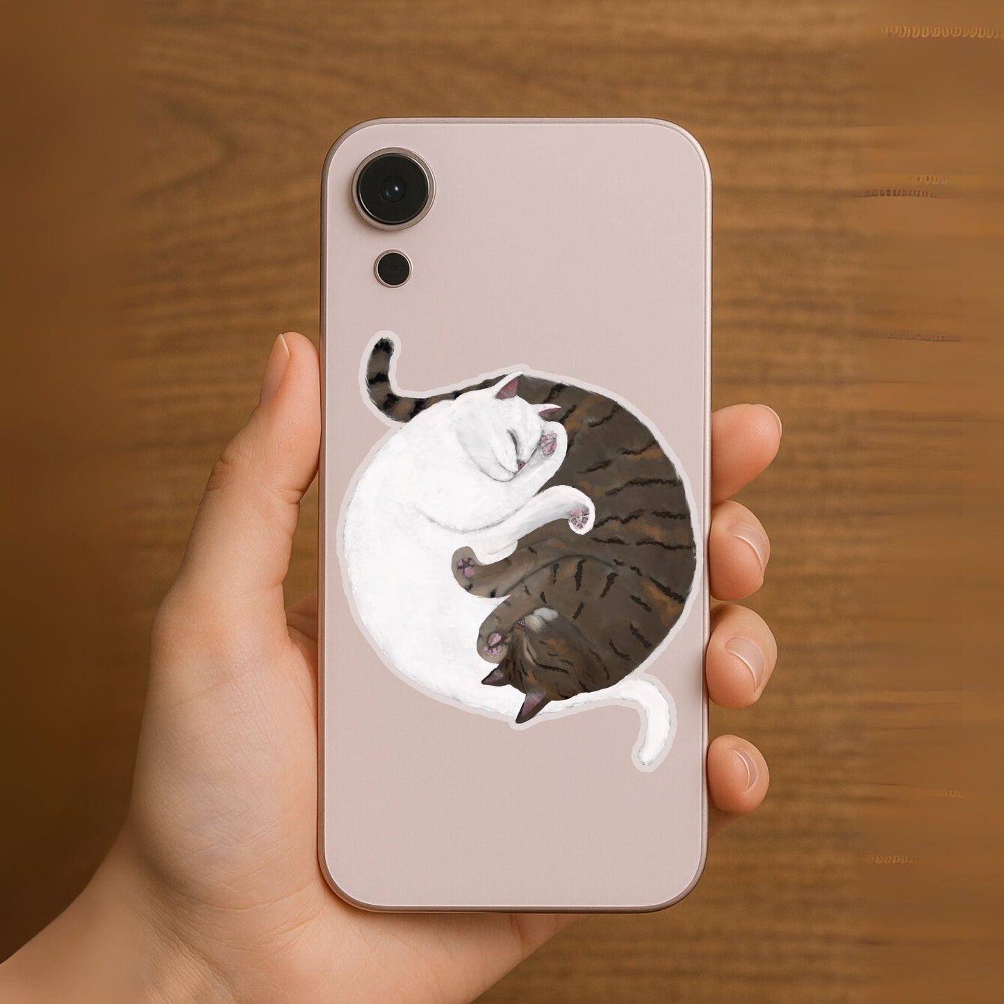 White And Taby Cats Sleeping Vinly Sticker - MerikaArt