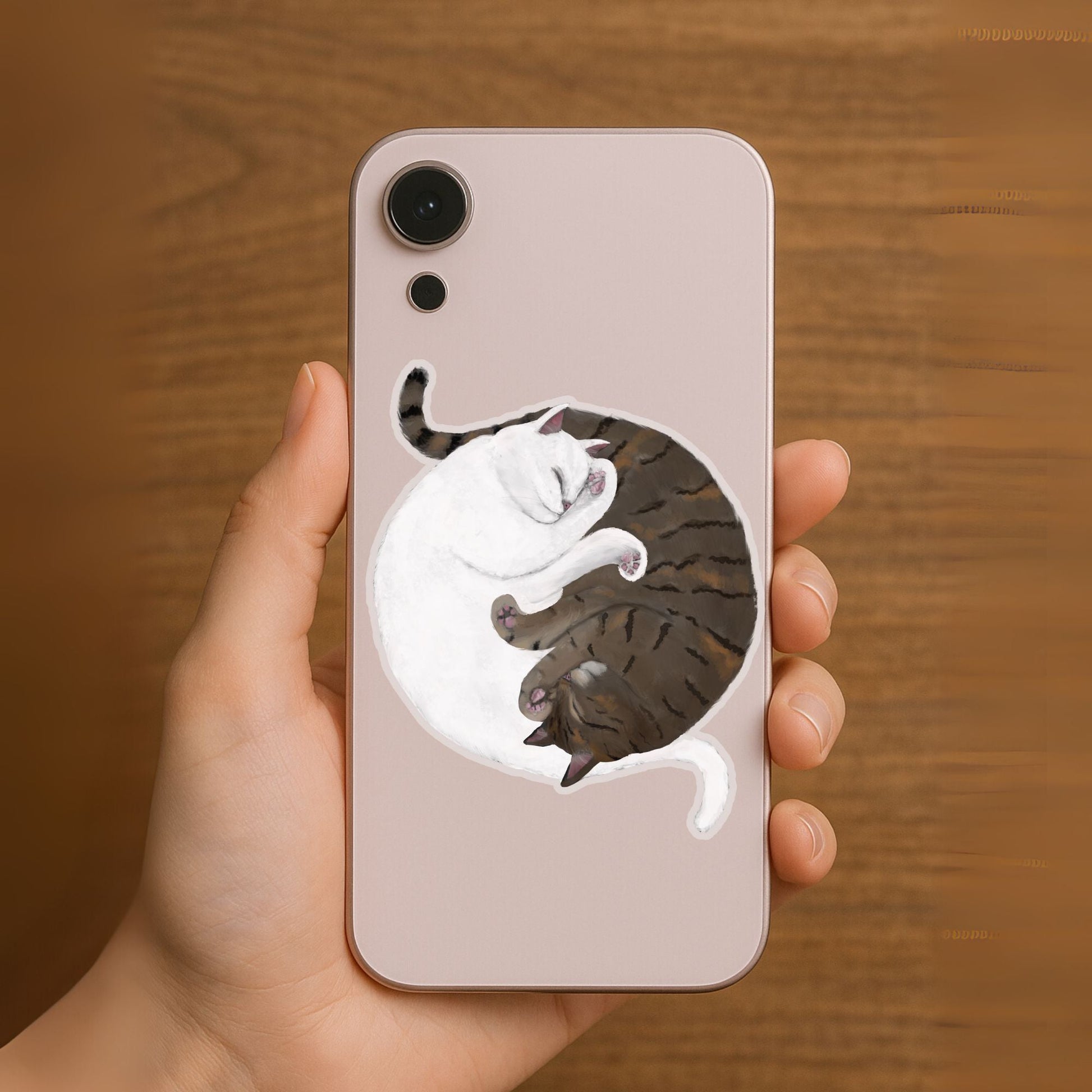 White And Taby Cats Sleeping Vinly Sticker - MerikaArt