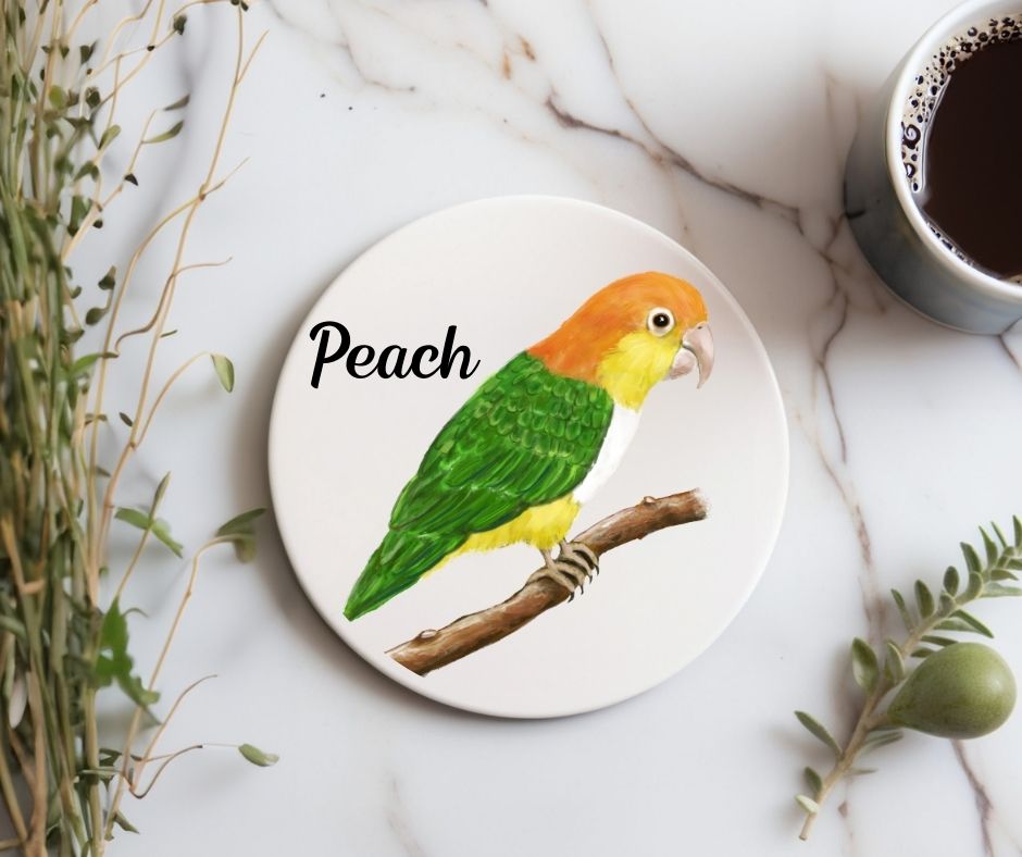 White - bellied Caique Ceramic Coaster - MerikaArt