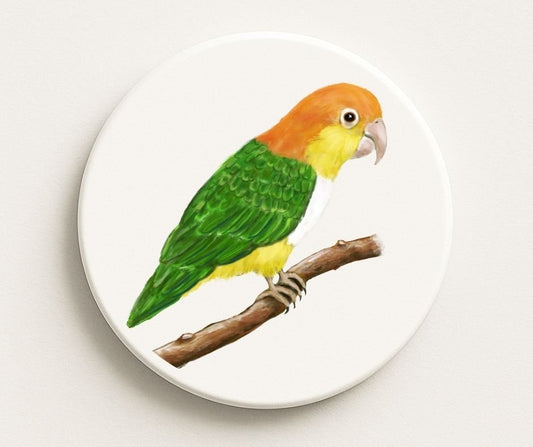White - bellied Caique Ceramic Coaster - MerikaArt