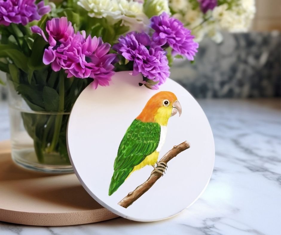 White - bellied Caique Ceramic Coaster - MerikaArt