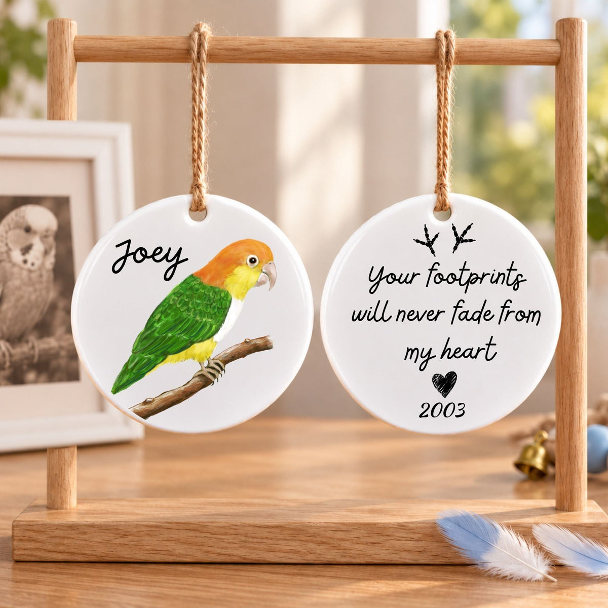 White Bellied Caique Ceramic Ornament - MerikaArt