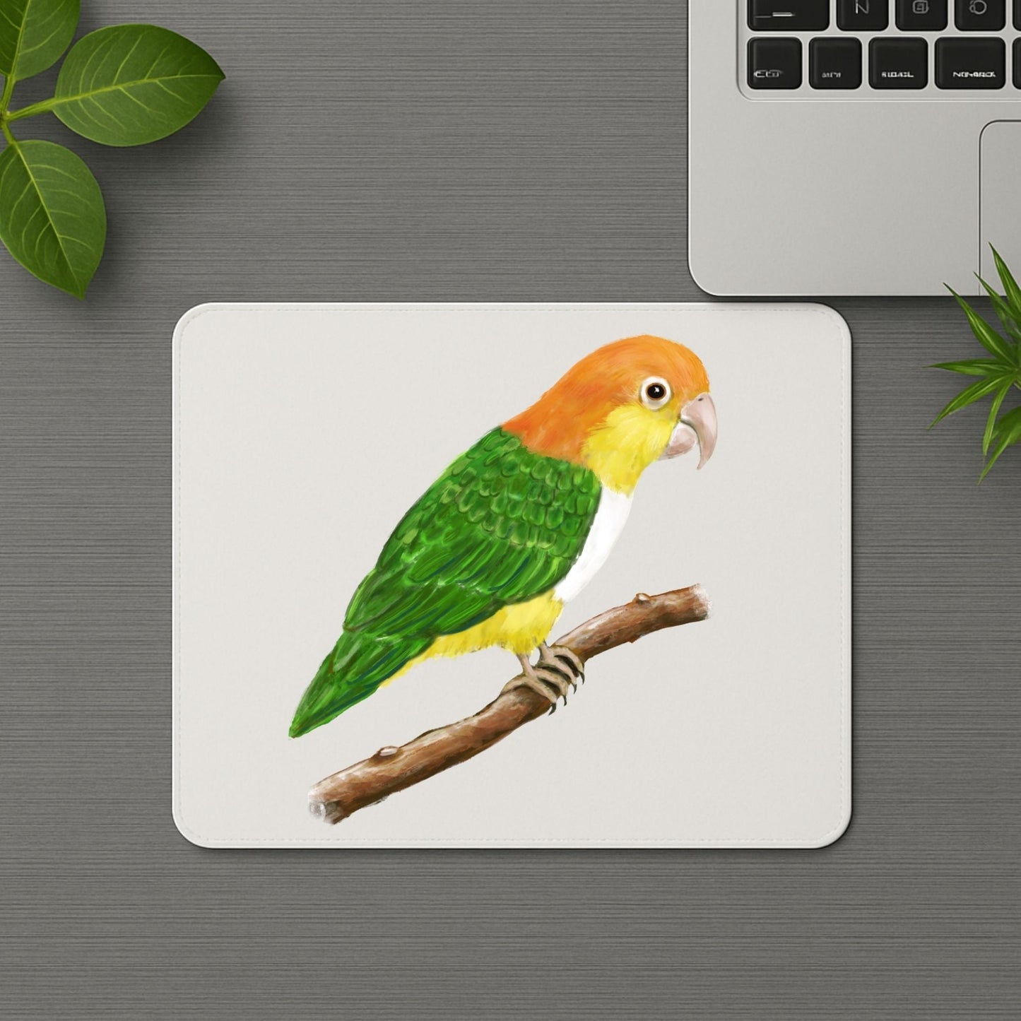White - Bellied Caique Mousepad - MerikaArt