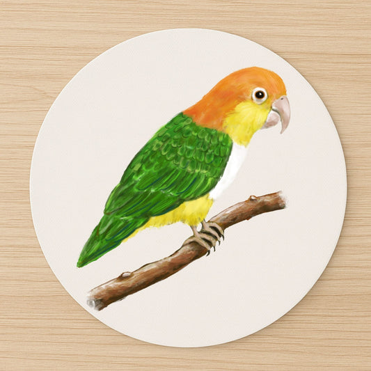 White - Bellied Caique Mousepad - MerikaArt