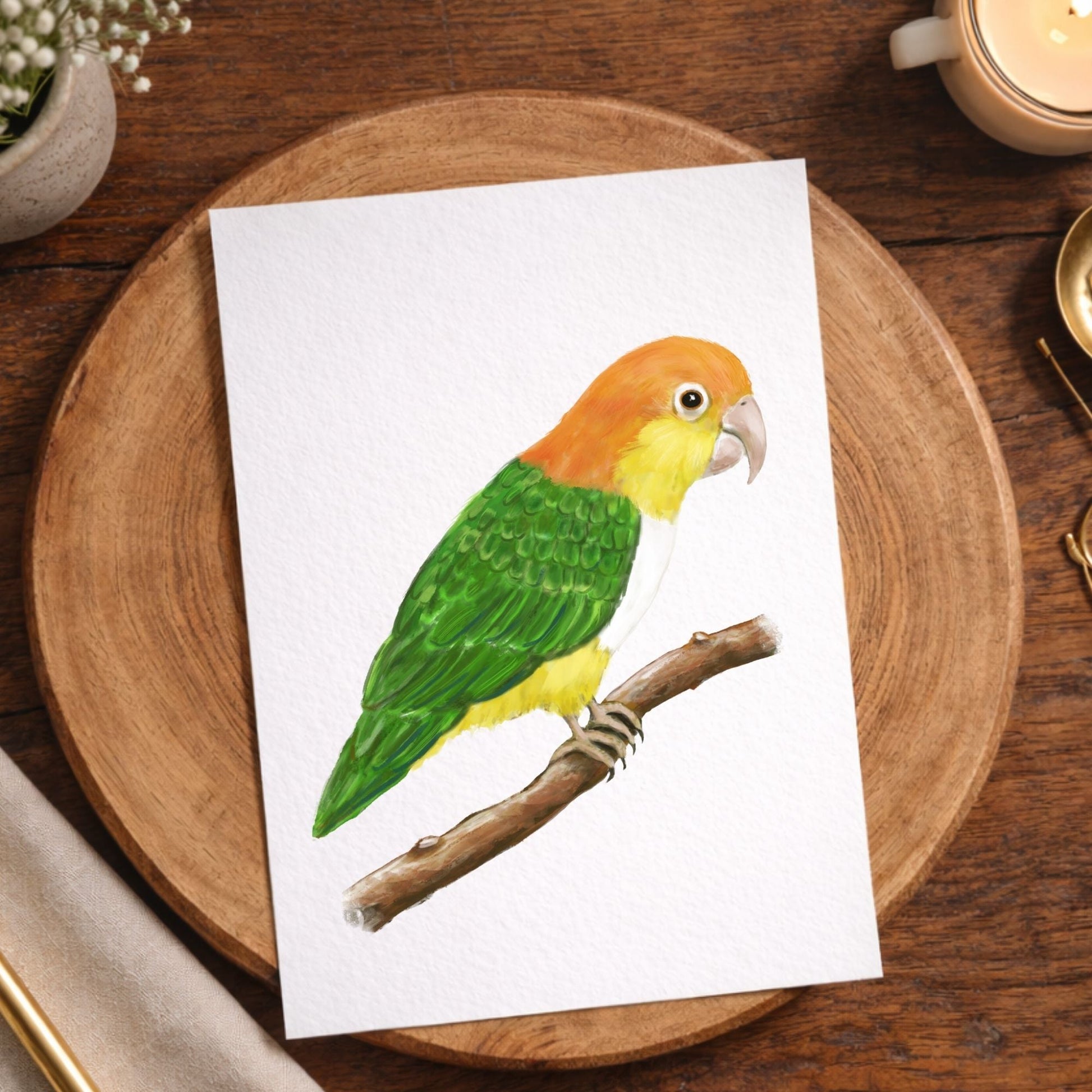 White - bellied Caique Postcard - MerikaArt