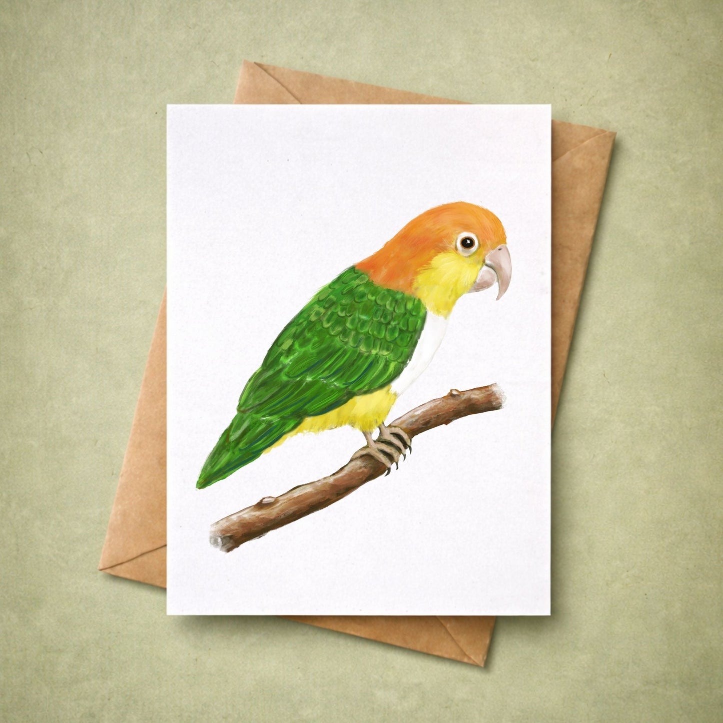 White - bellied Caique Postcard - MerikaArt