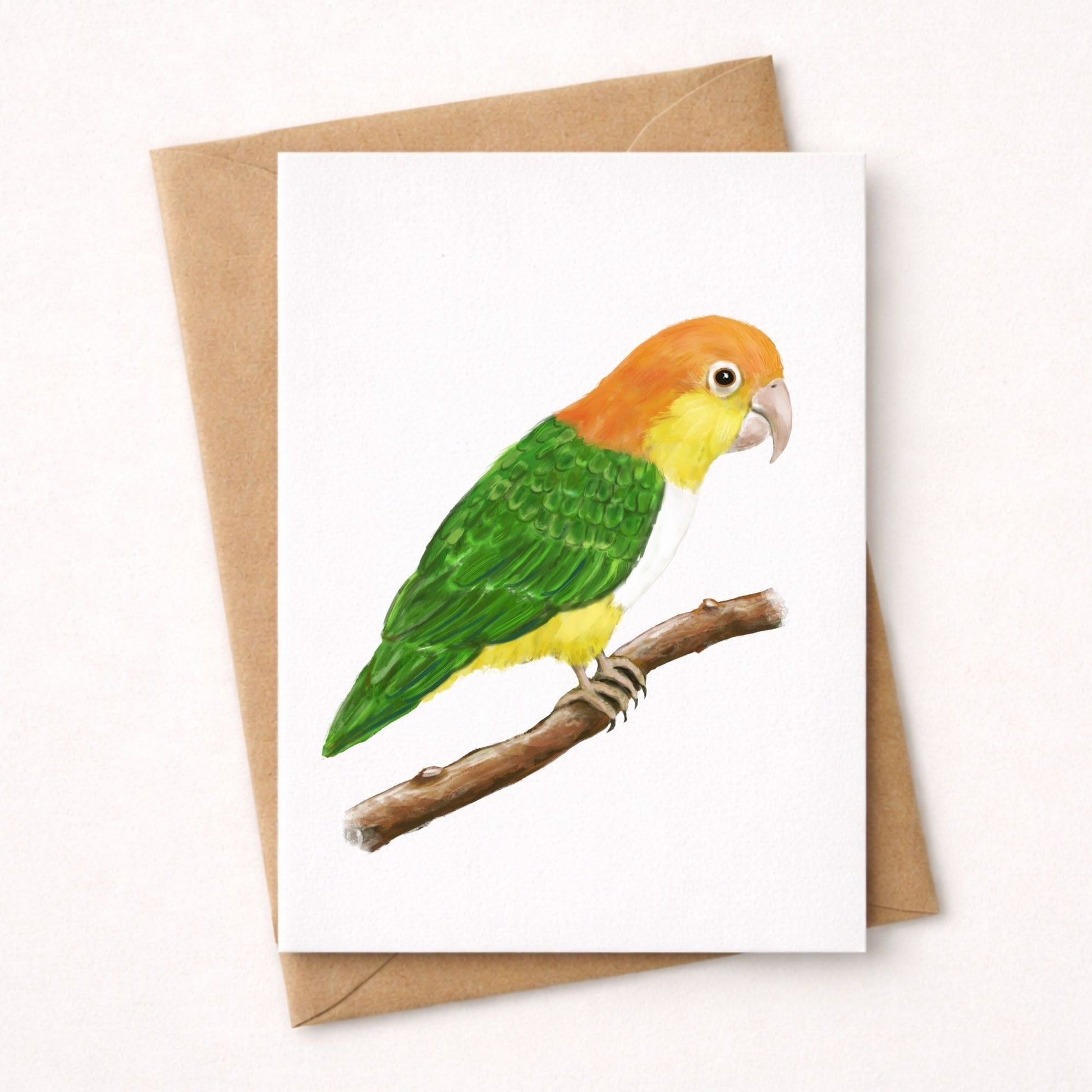 White - bellied Caique Postcard - MerikaArt