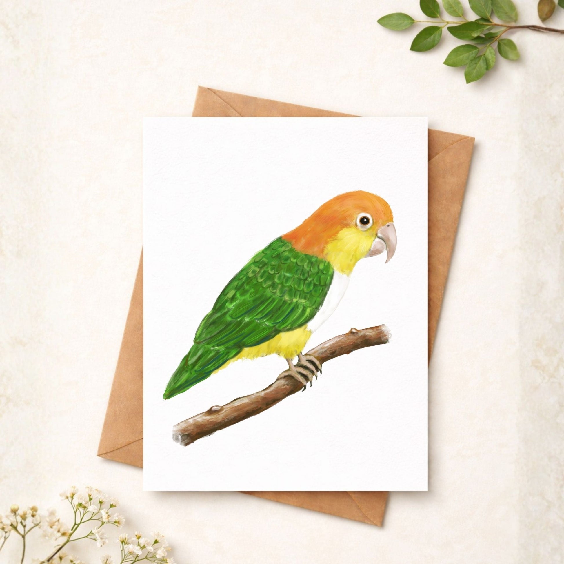 White - bellied Caique Postcard - MerikaArt
