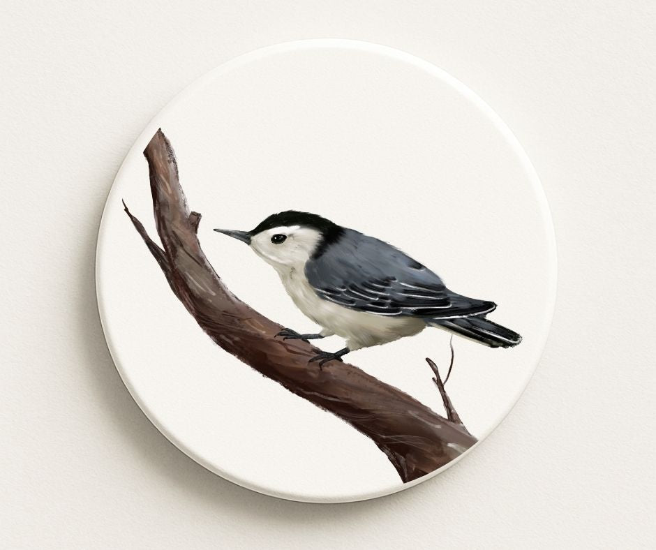 White - breasted Nuthatch Ceramic Coaster - MerikaArt