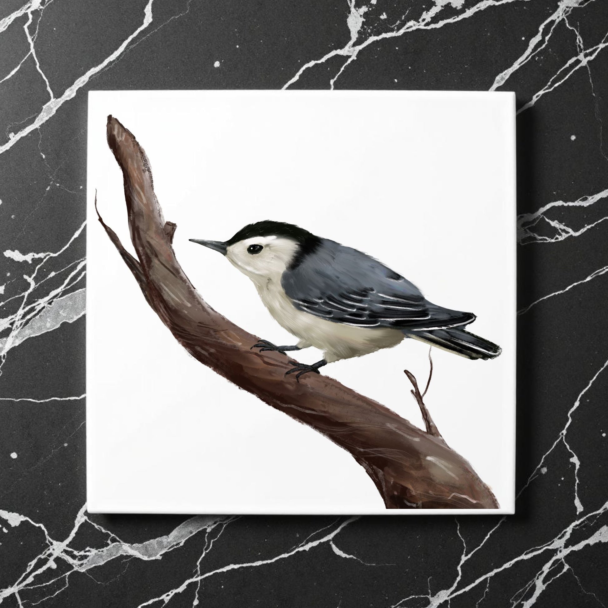 White - Breasted Nuthatch Ceramic Tile - MerikaArt