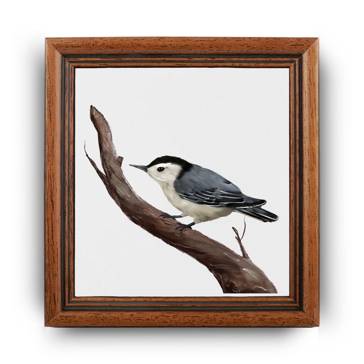 White - Breasted Nuthatch Ceramic Tile - MerikaArt