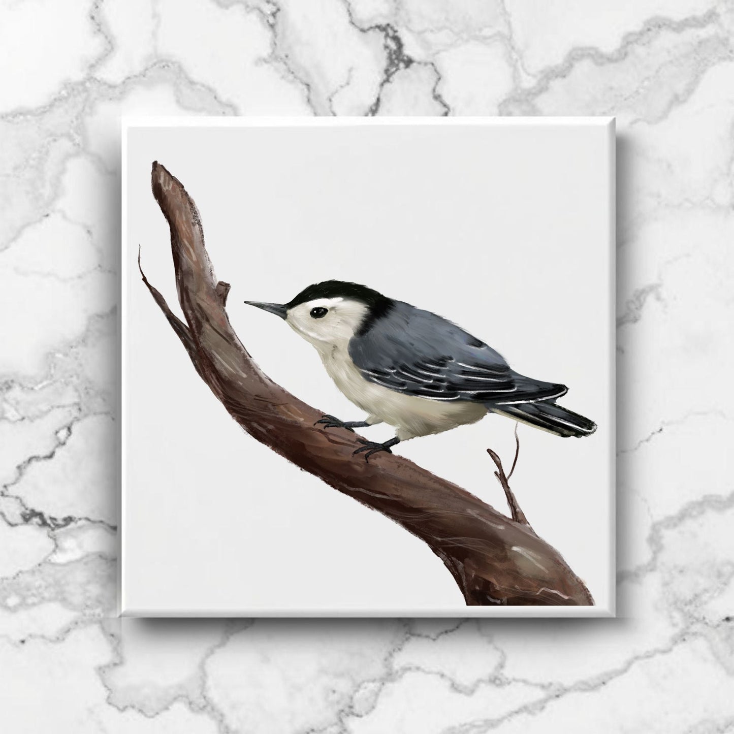 White - Breasted Nuthatch Ceramic Tile - MerikaArt