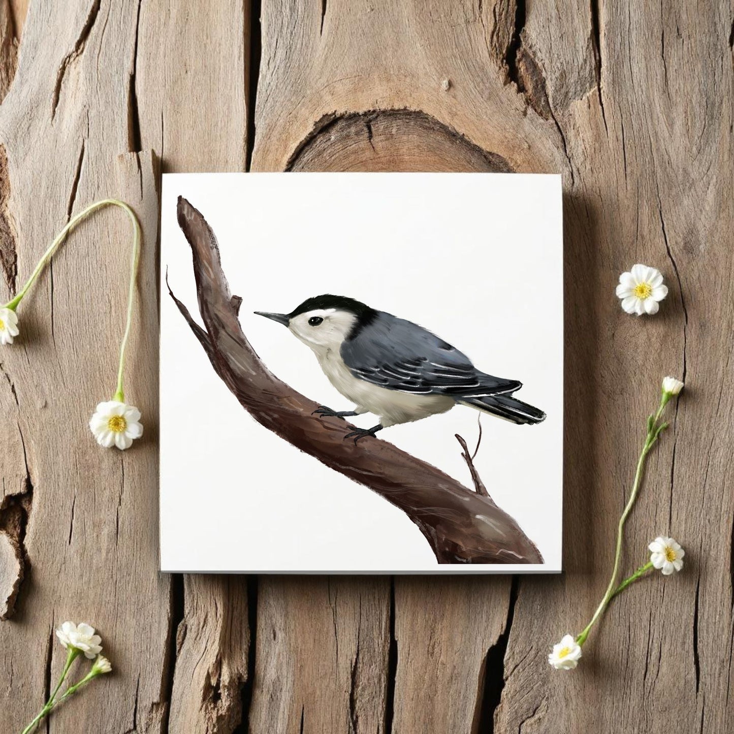 White - Breasted Nuthatch Ceramic Tile - MerikaArt