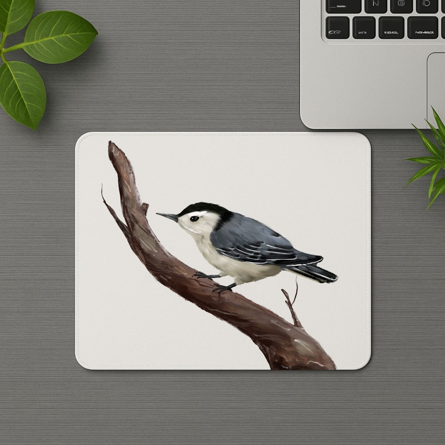 White - Breasted Nuthatch Mousepad - MerikaArt