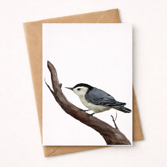 White - breasted Nuthatch Postcard - MerikaArt