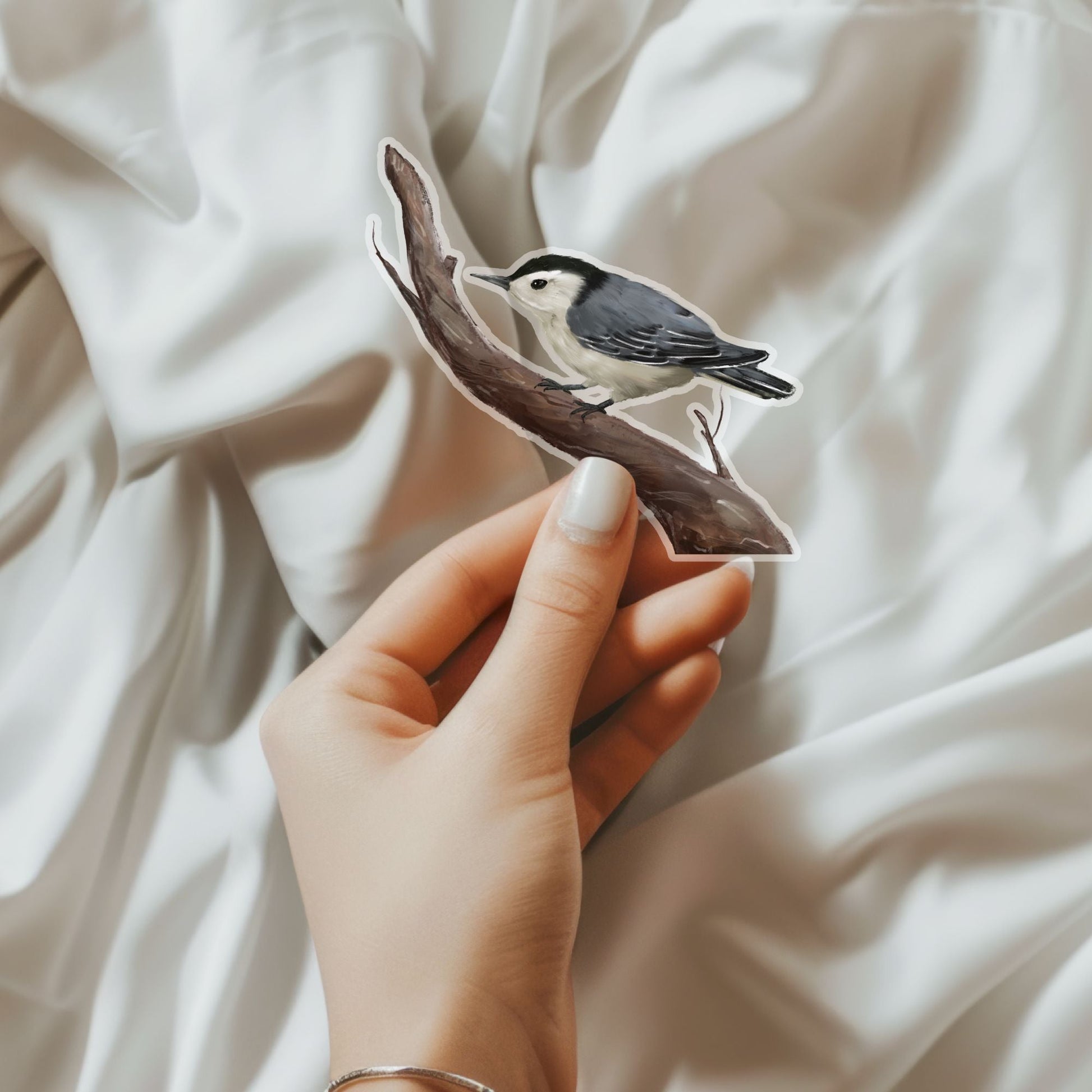 White - breasted Nuthatch Sticker - MerikaArt