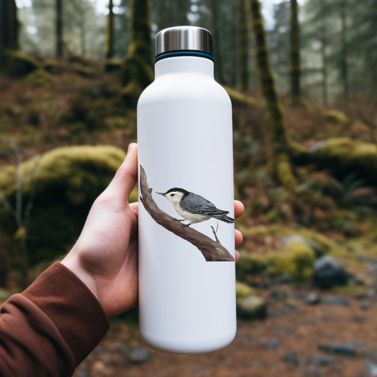 White - breasted Nuthatch Sticker - MerikaArt