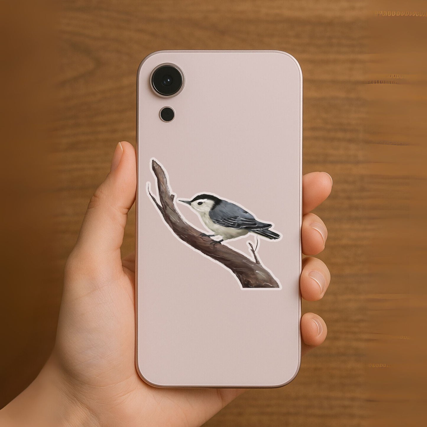 White - breasted Nuthatch Sticker - MerikaArt