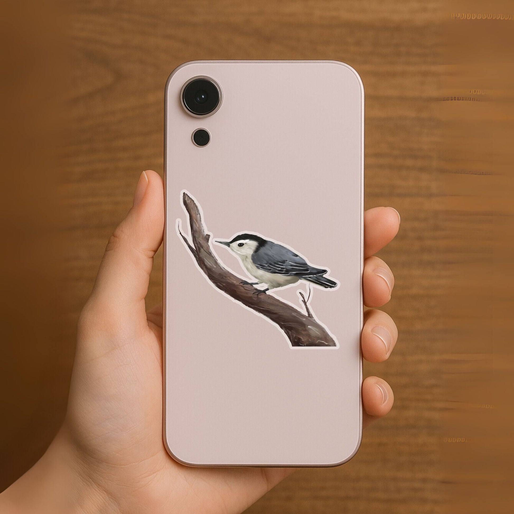 White - breasted Nuthatch Sticker - MerikaArt