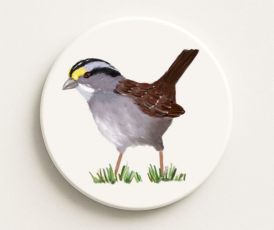 White - Throated Sparrow Ceramic Coaster - MerikaArt