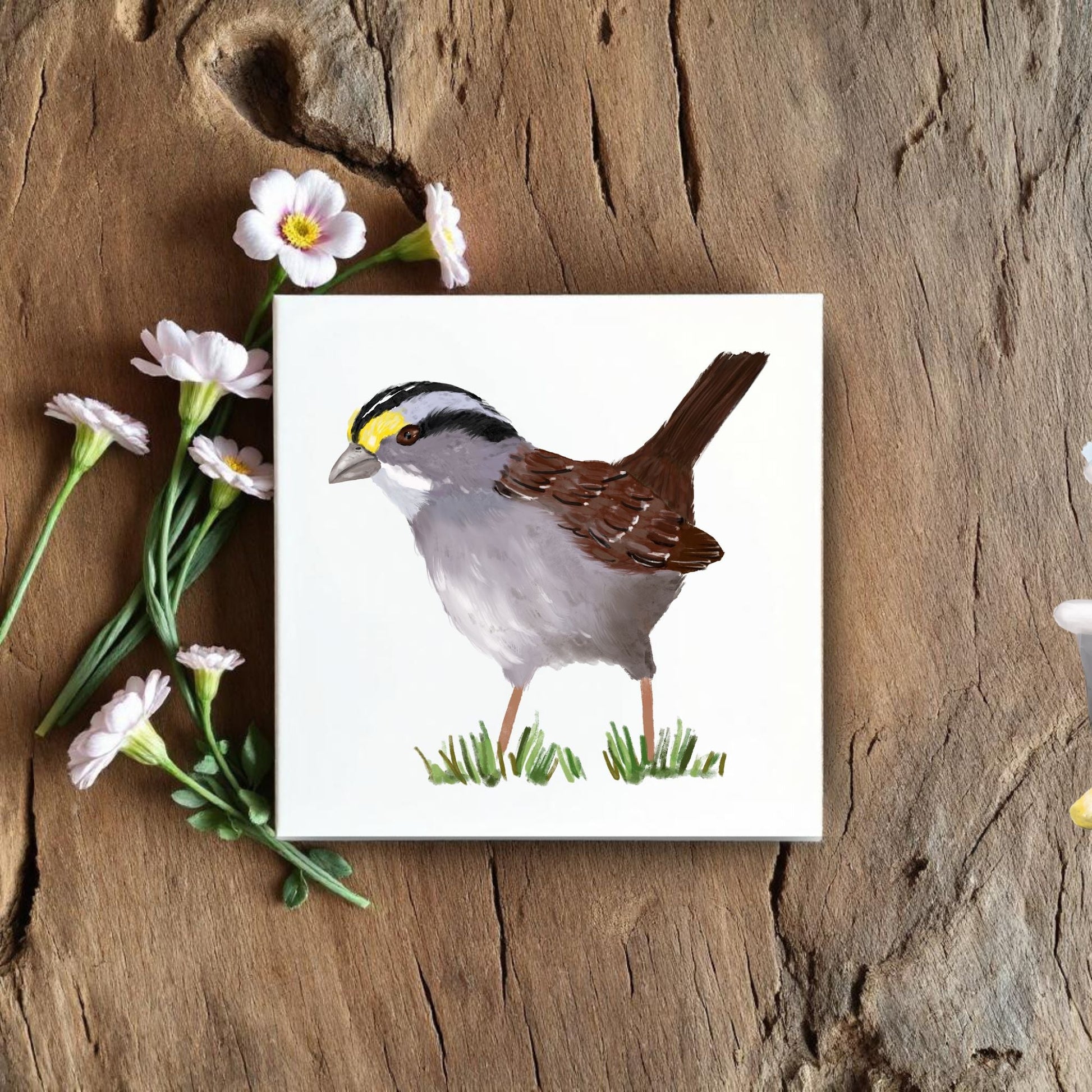 White Throated Sparrow Ceramic Tile - MerikaArt