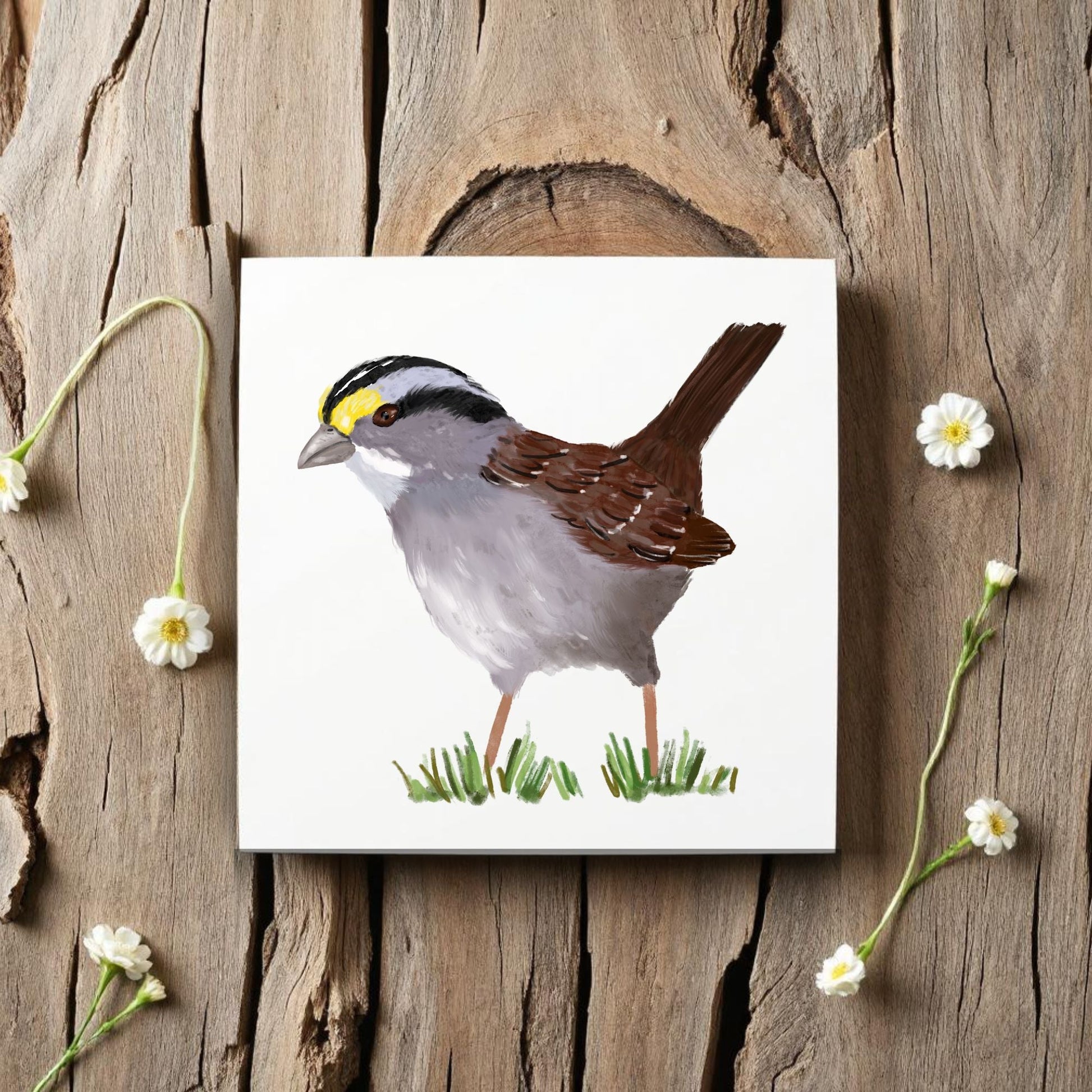 White - Throated Sparrow Ceramic Tile - MerikaArt