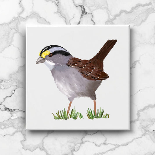 White - Throated Sparrow Ceramic Tile - MerikaArt