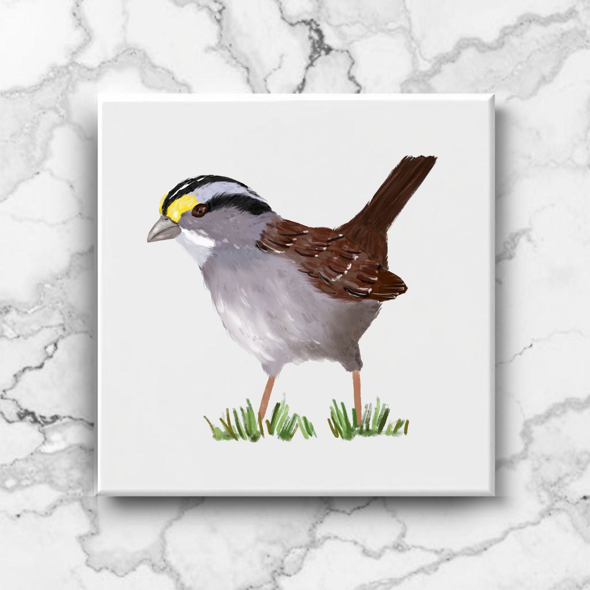 White Throated Sparrow Ceramic Tile - MerikaArt