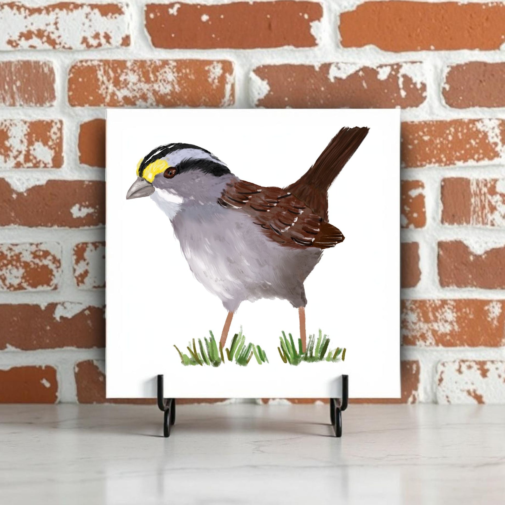 White - Throated Sparrow Ceramic Tile - MerikaArt