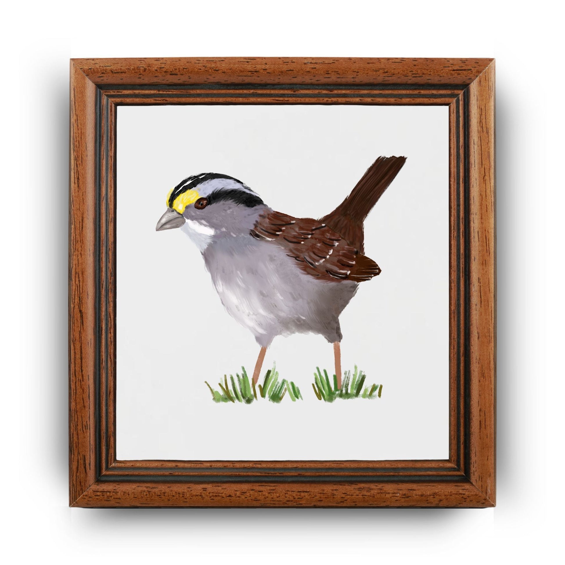 White Throated Sparrow Ceramic Tile - MerikaArt