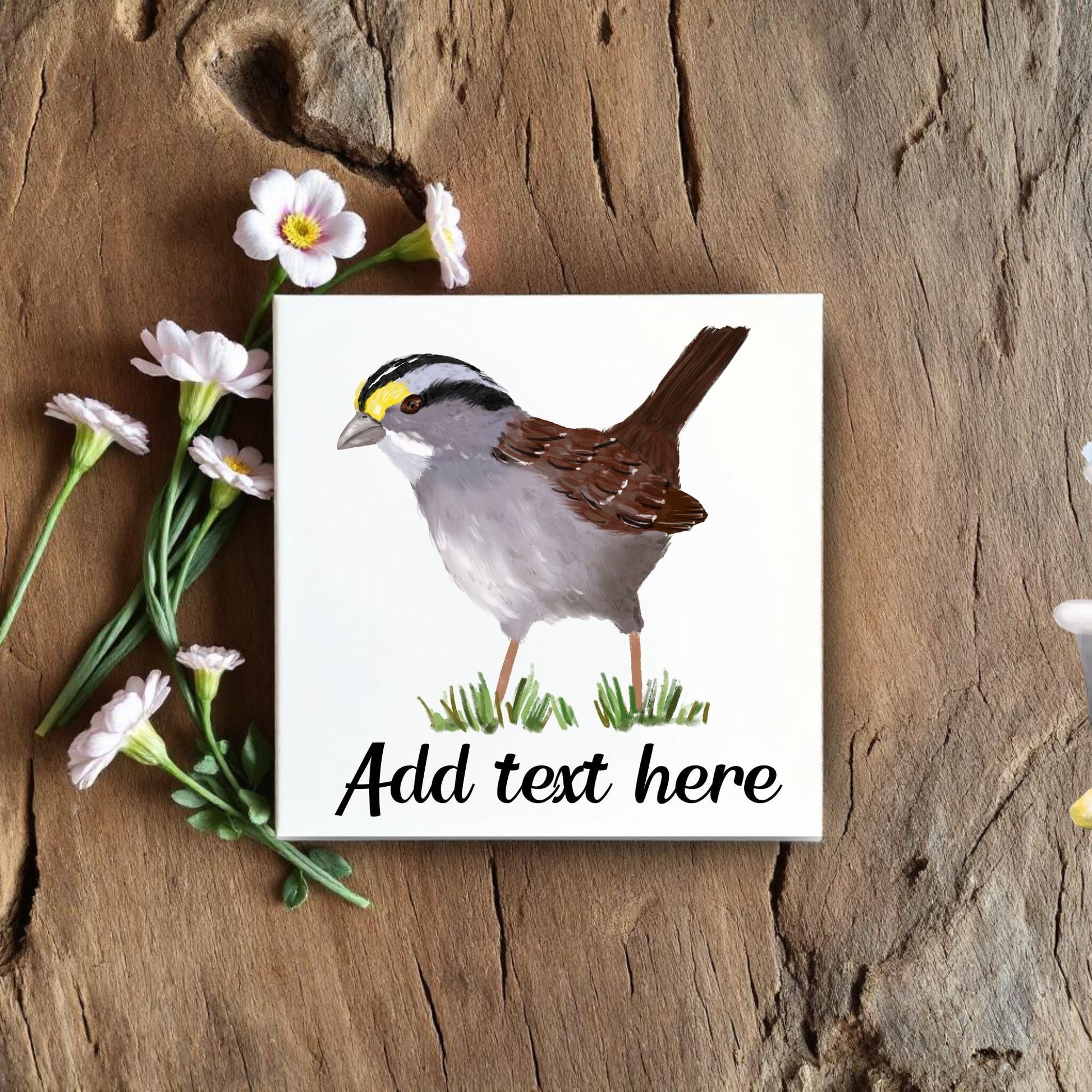 White - Throated Sparrow Ceramic Tile - MerikaArt