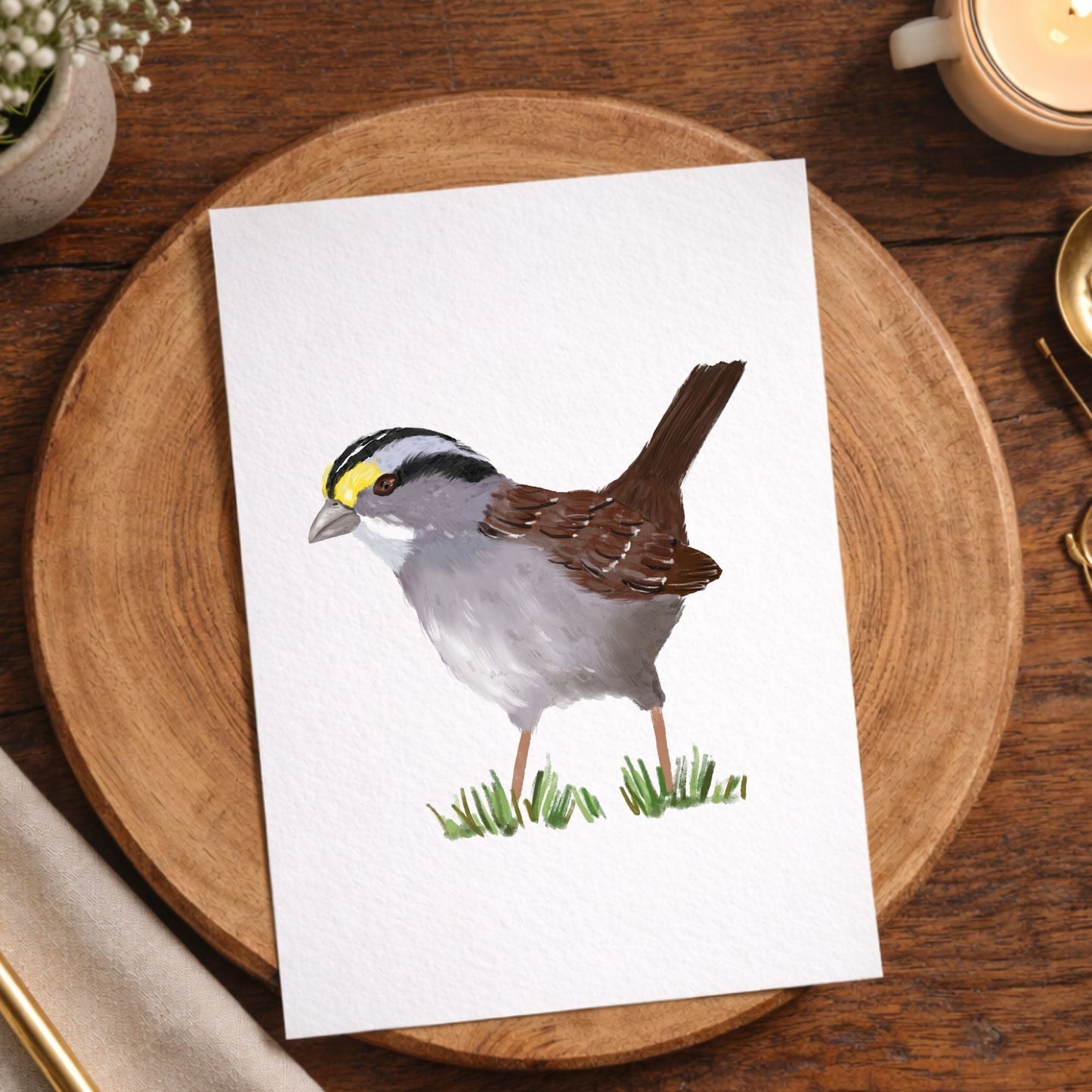 White - throated Sparrow Postcard - MerikaArt