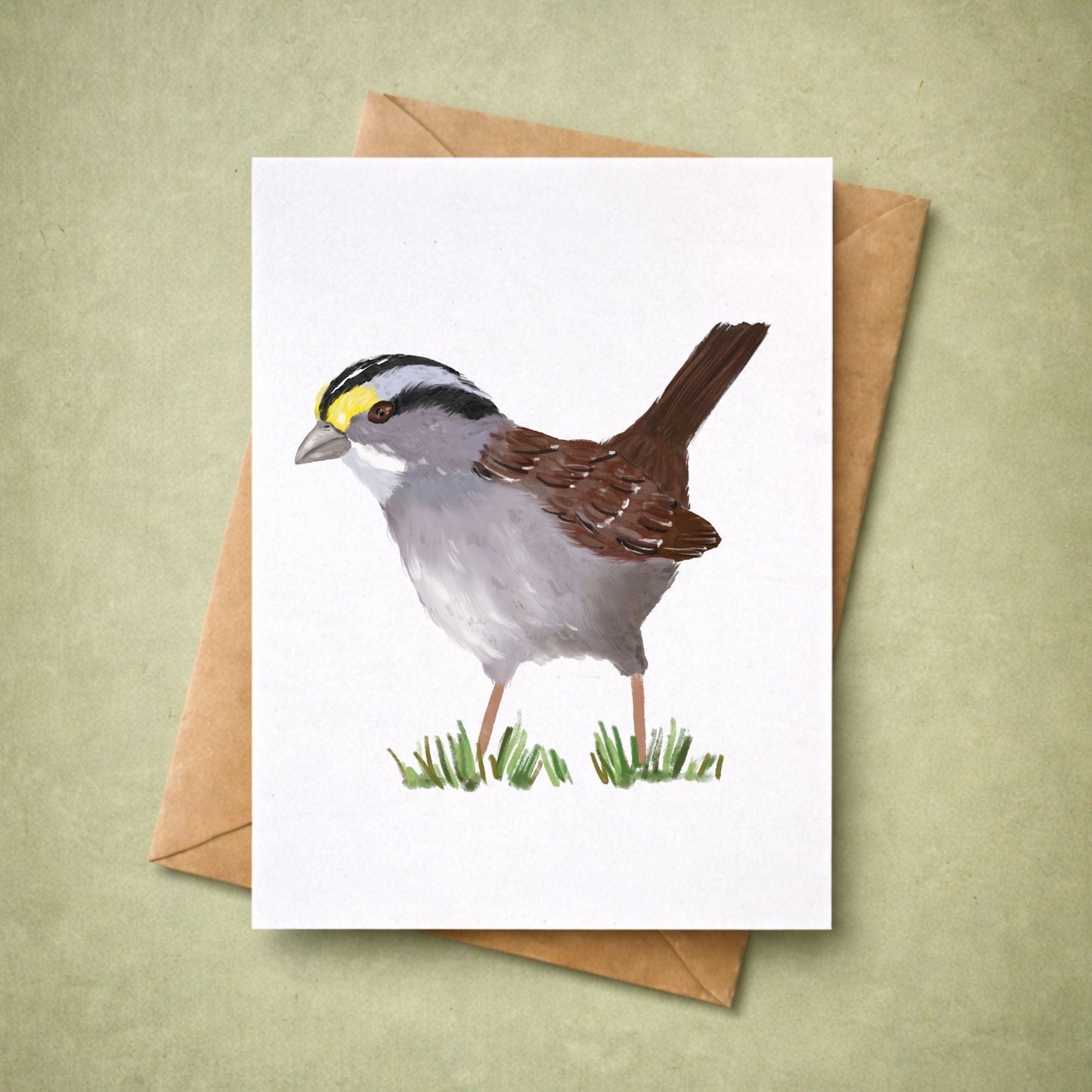 White - throated Sparrow Postcard - MerikaArt