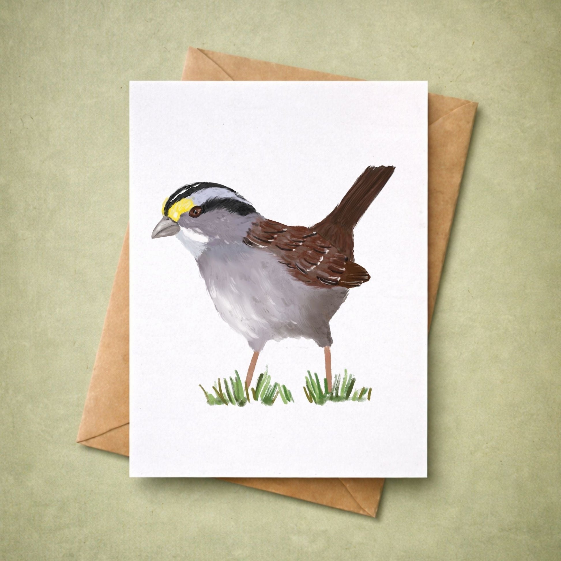 White - throated Sparrow Postcard - MerikaArt