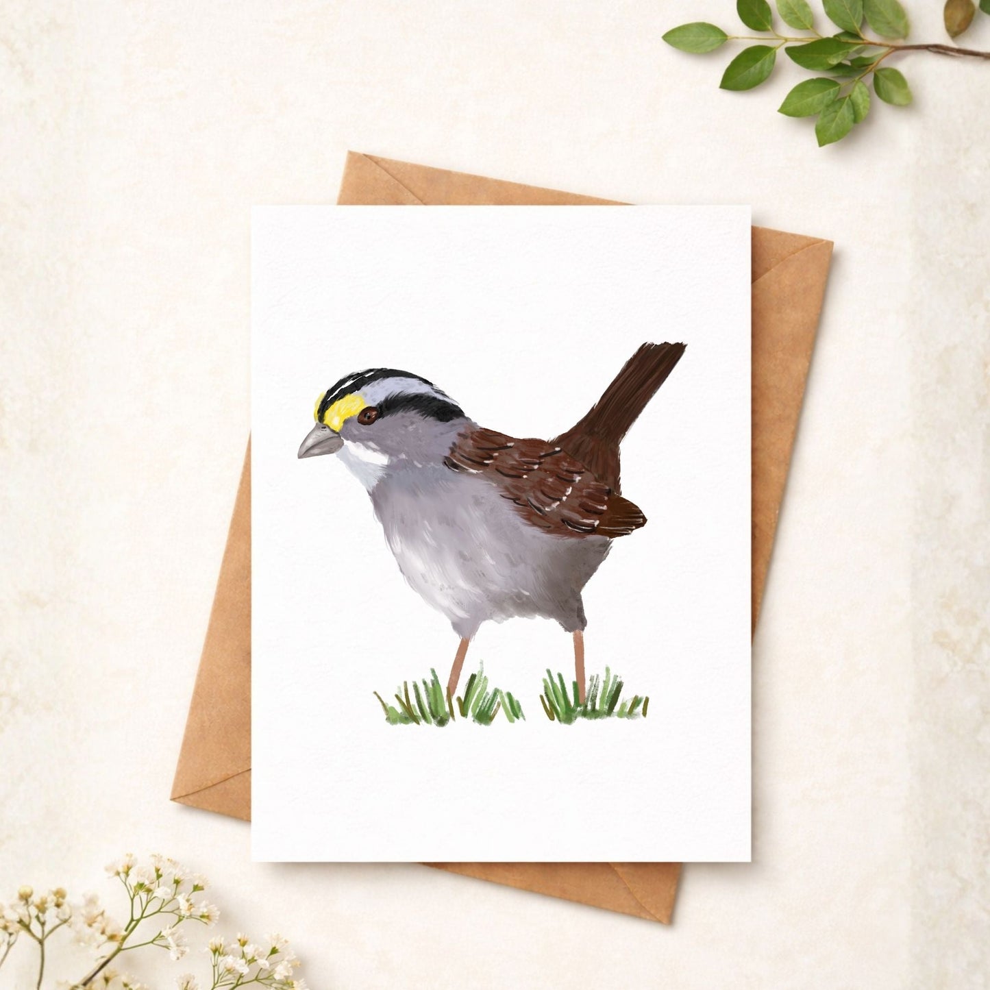 White - throated Sparrow Postcard - MerikaArt