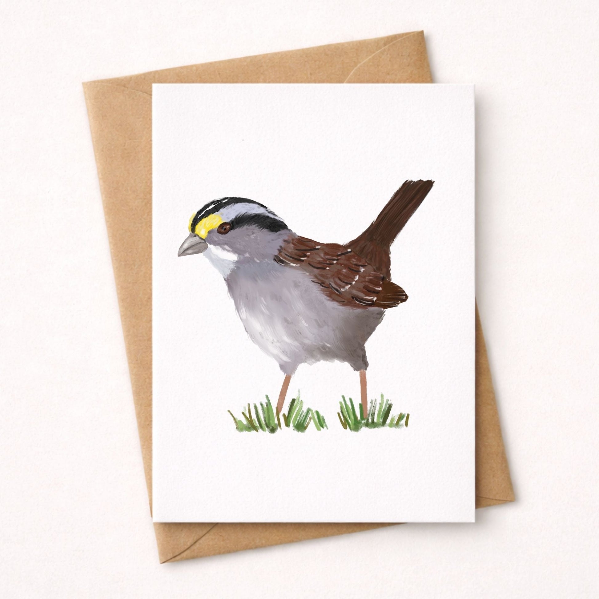 White - throated Sparrow Postcard - MerikaArt