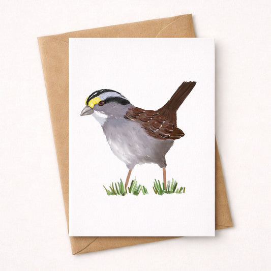 White - throated Sparrow Postcard - MerikaArt