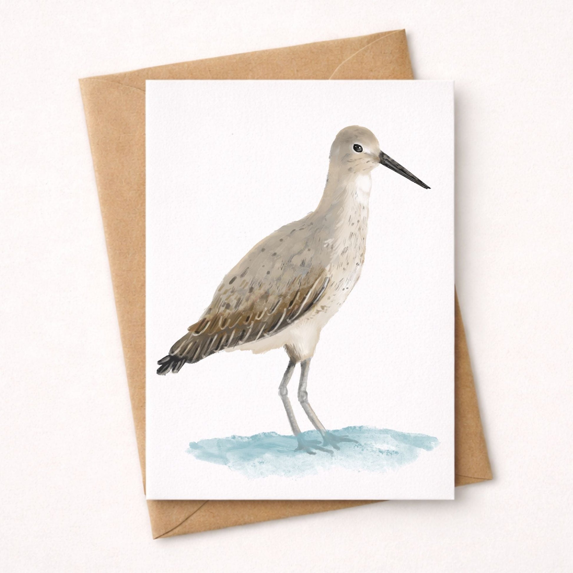 Willet Bird Postcard - MerikaArt
