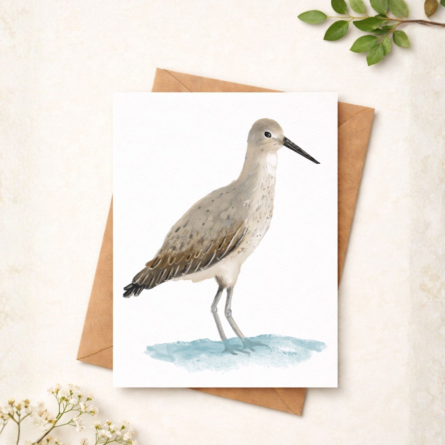 Willet Bird Postcard - MerikaArt