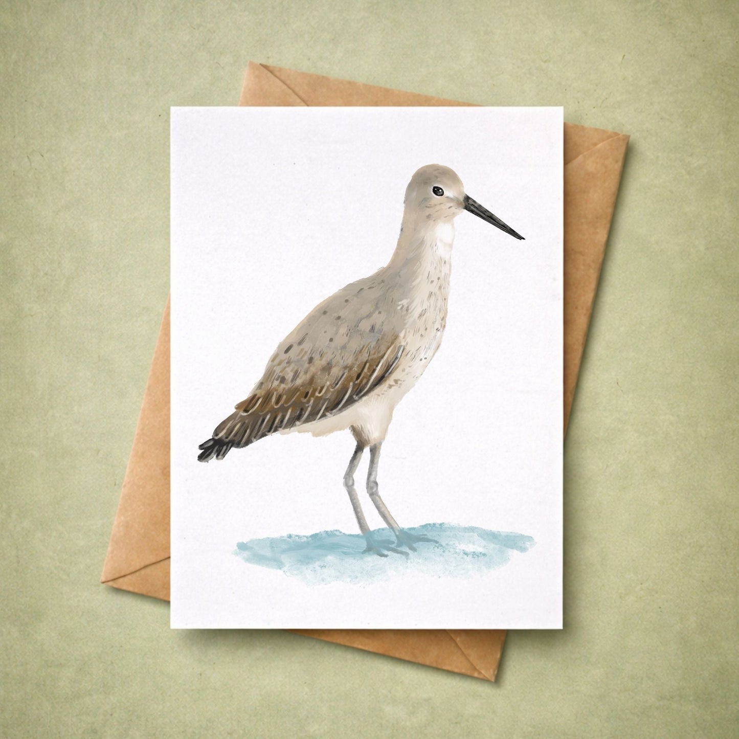 Willet Bird Postcard - MerikaArt