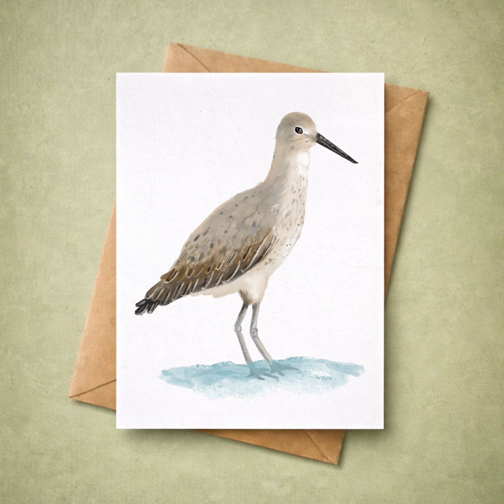 Willet Bird Postcard - MerikaArt