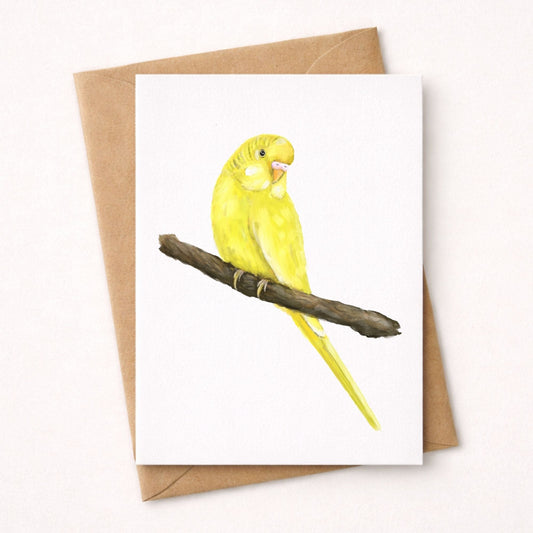 Yellow Budgerigar Postcard - MerikaArt