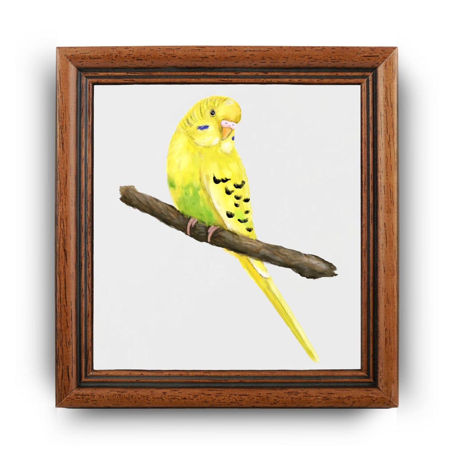 Yellow Budgie Ceramic Tile - MerikaArt