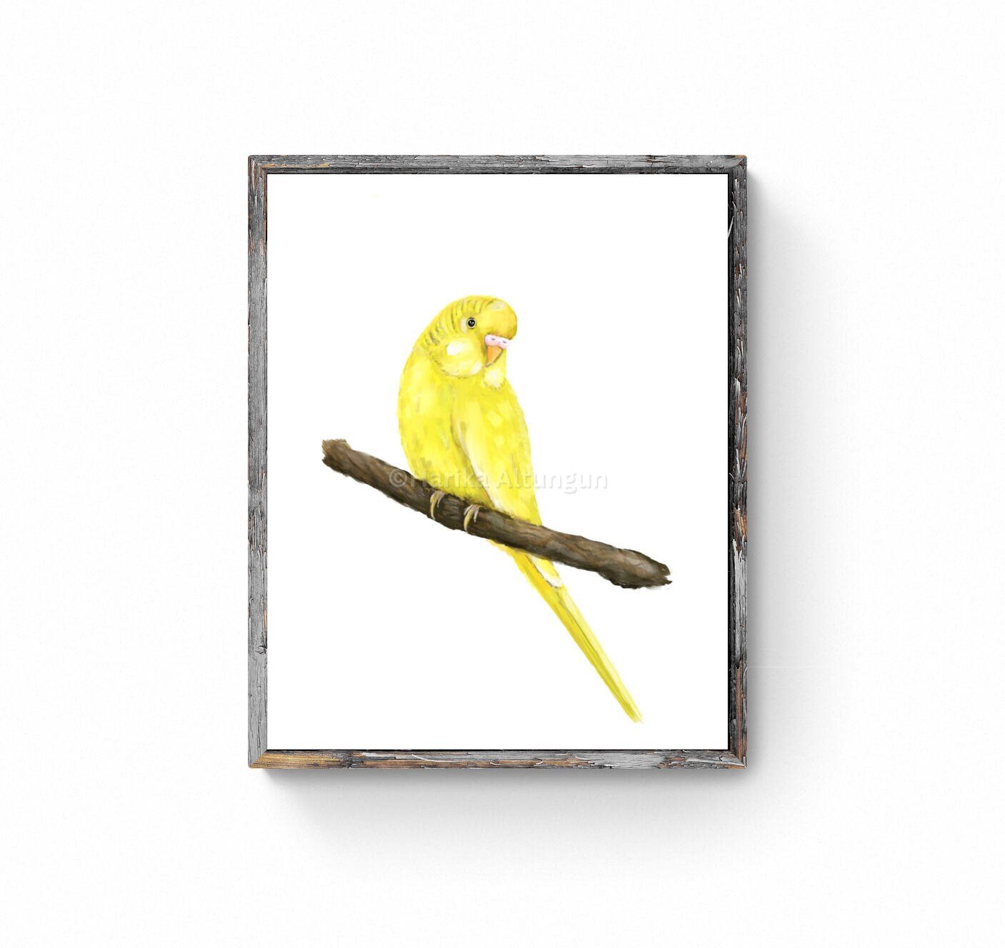 Yellow Budgie on Branch Art, Parakeet Painting, Bird Lover Art, Bird Mom Dad Gift, Kitchen Wall Decor, Lutino Bird Memorial, Home Wall Print - MerikaArt