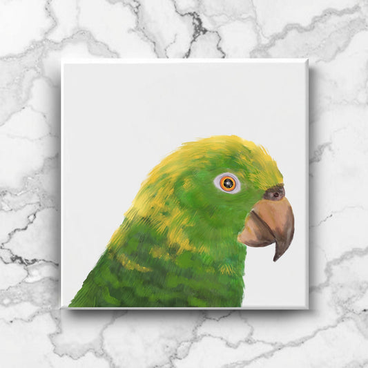 Yellow Headed Amazon Parrot Ceramic Tile - MerikaArt