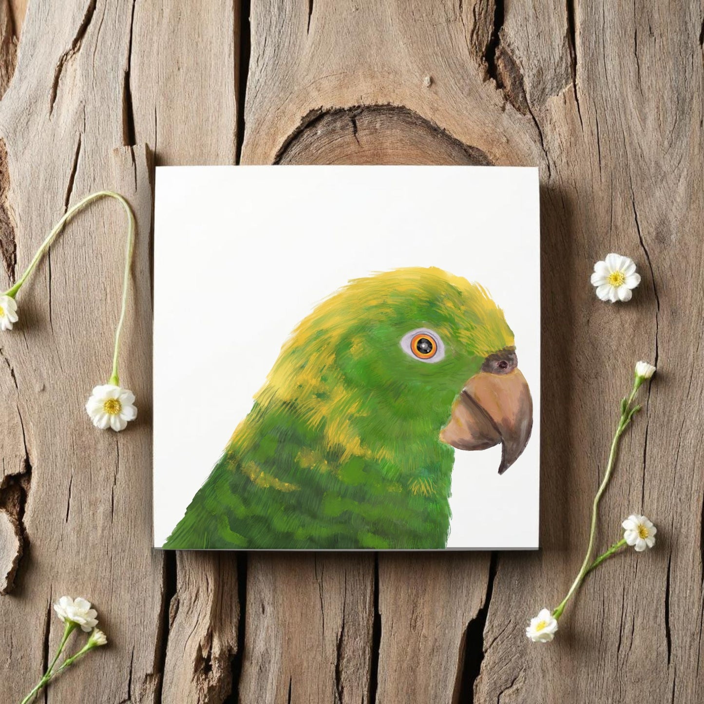 Yellow Headed Amazon Parrot Ceramic Tile - MerikaArt