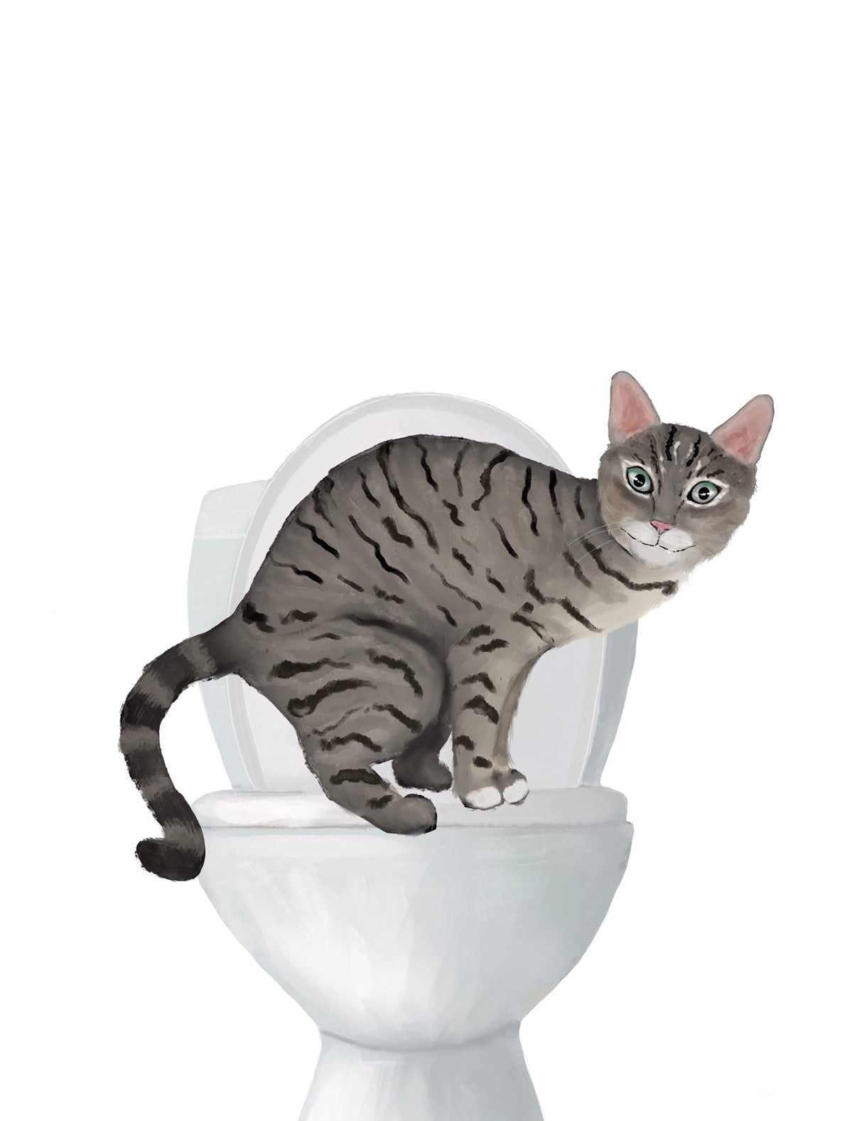 Gray Tabby Cat On Toilet Print