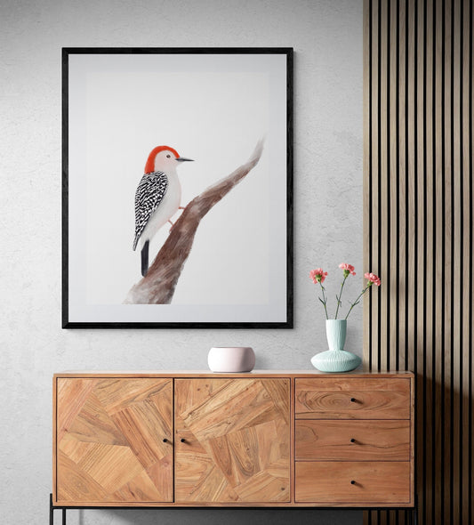 Original Red Bellied Woodpecker Print