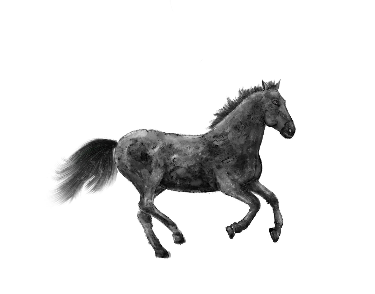 Original Black Horse Print